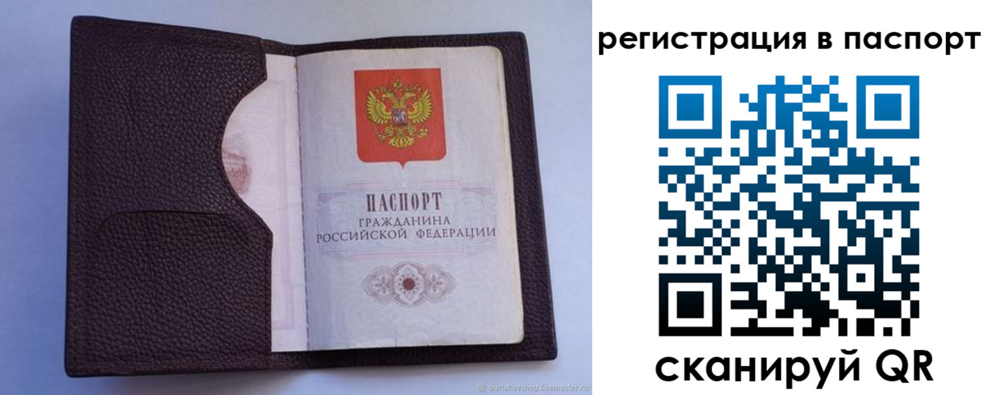 временная регистрация в квартире в Пионерском